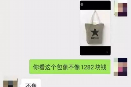 阿拉尔讨债公司